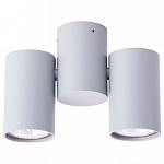 Спот Arte Lamp Gavroche A1511PL-2GY, фото 2